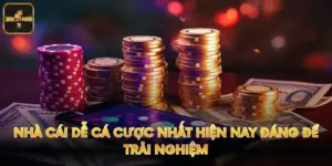 Nhà Cái Dễ Cá Cược Nhất Hiện Nay Đáng Để Trải Nghiệm
